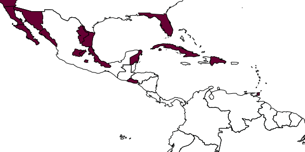map of Aphytis holoxanthus     DeBach, 1960